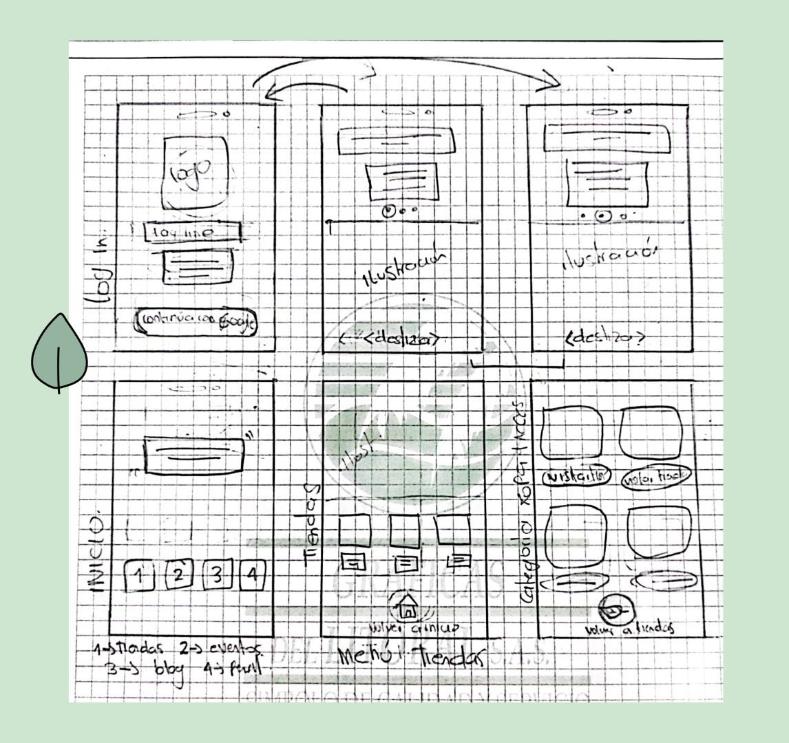 wireframe
